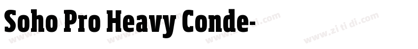 Soho Pro Heavy Conde字体转换